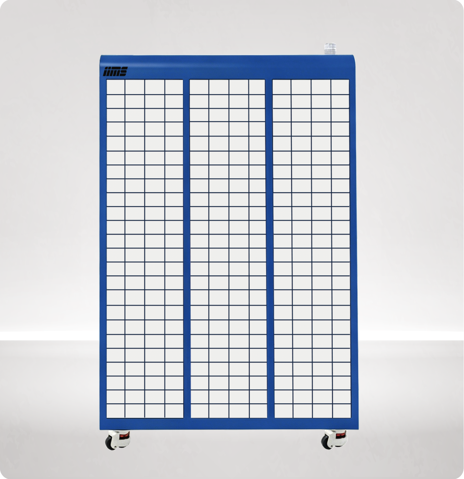 IIMS product 2